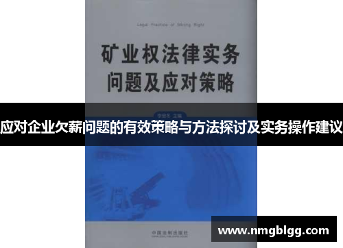 应对企业欠薪问题的有效策略与方法探讨及实务操作建议