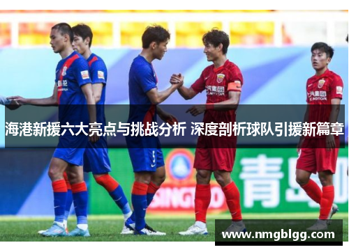 海港新援六大亮点与挑战分析 深度剖析球队引援新篇章